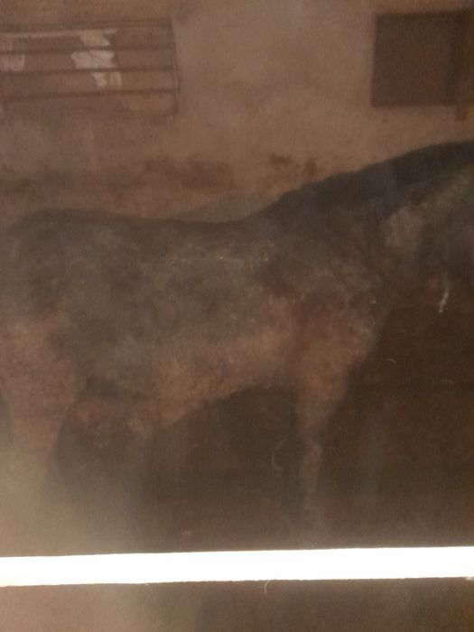 Кунан Байтал Согымга!