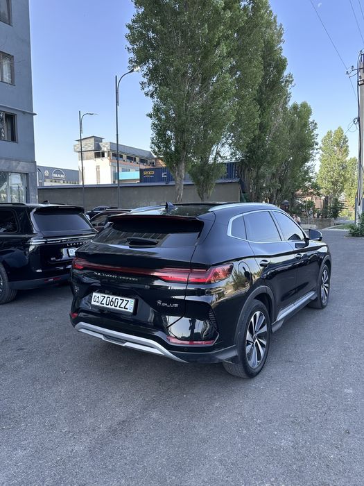 Byd champion 605