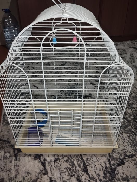 просторная клетка