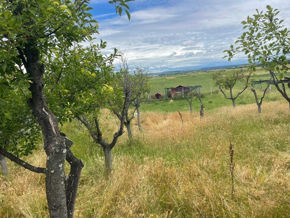 Casa cu teren la Dragasani