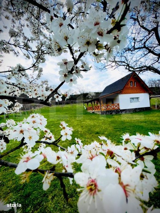Cabana cu livada si panorama superba – Refugiu in natura, Blaj