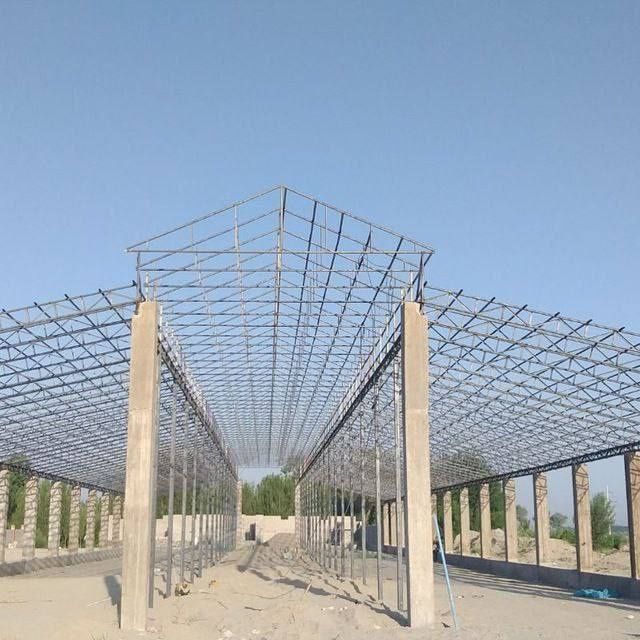 Tom Naves Molhona xizmati