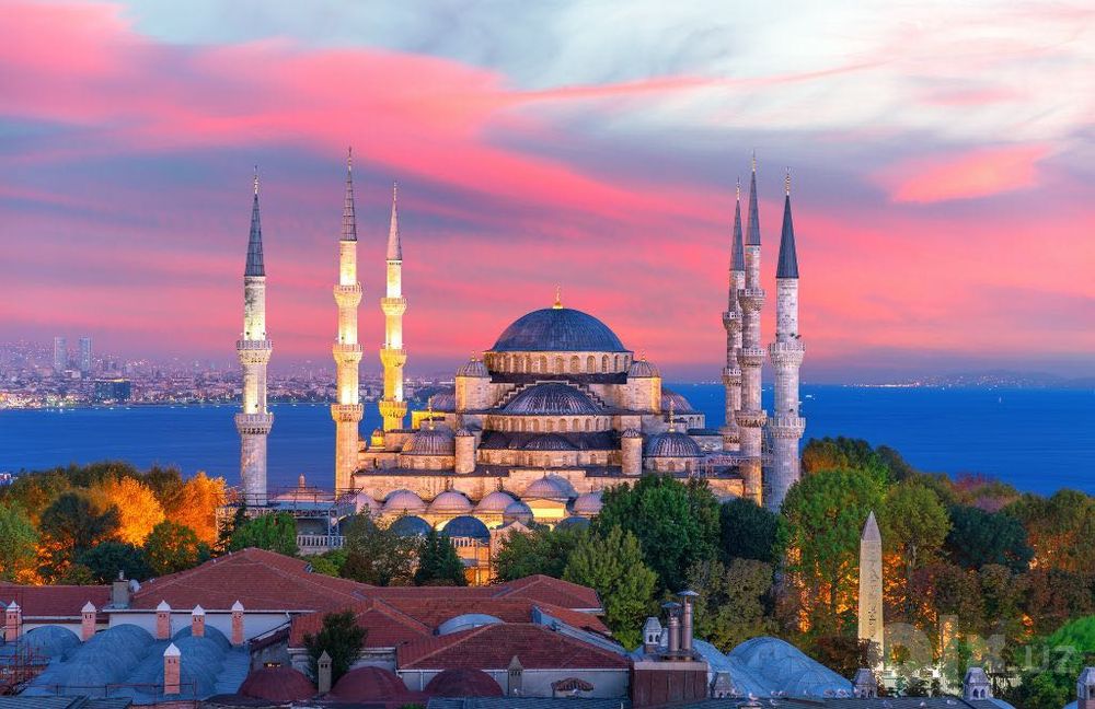 Istanbul Sayohati: Mehmonxona, Gid va Transfer xizmatlari