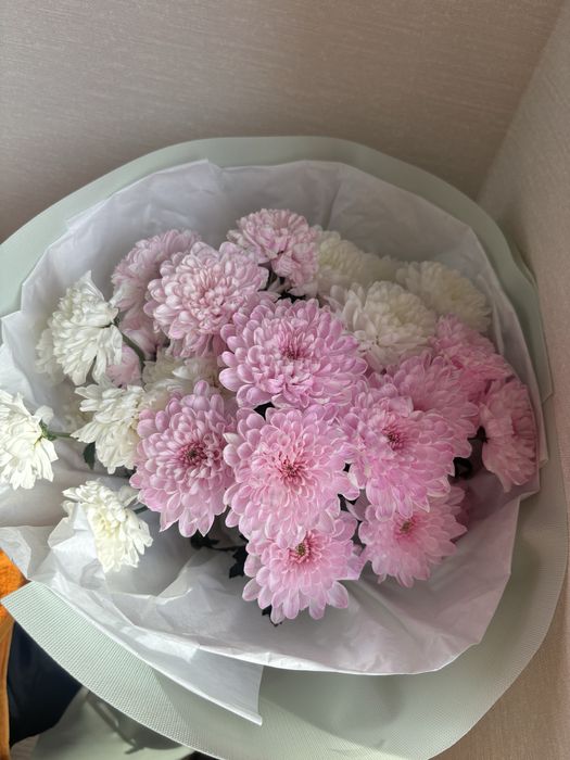 Цветы! Хризантема