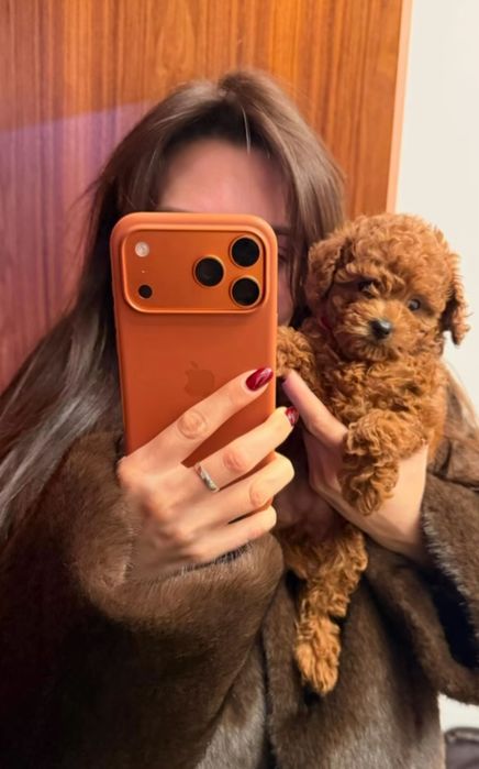 Мальтипу Ред_браун