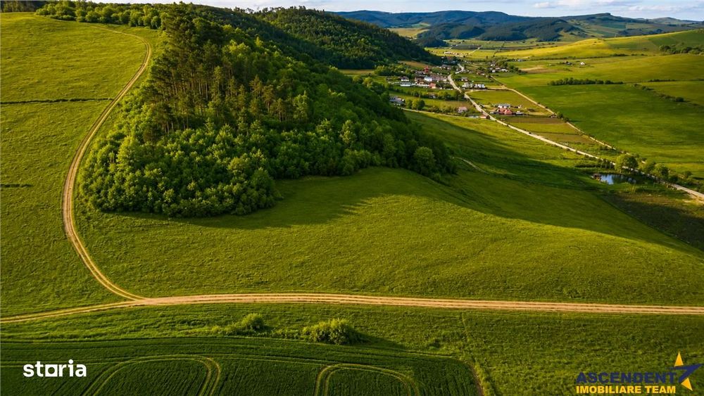 6.000 mp teren granitat de liziera compacta de padure, ecran natural d