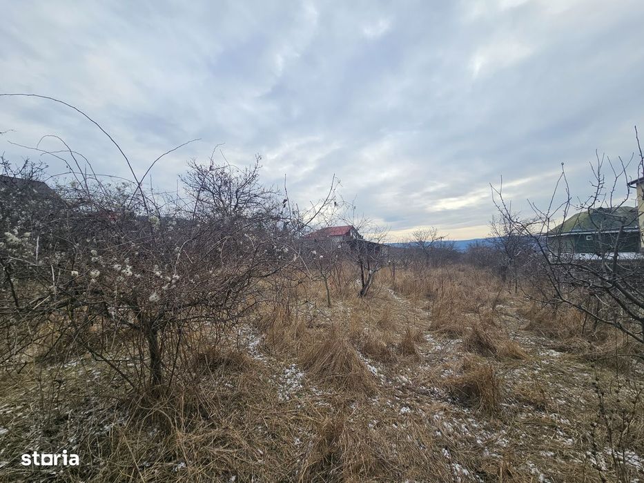 Teren Barnova-Pietrarie