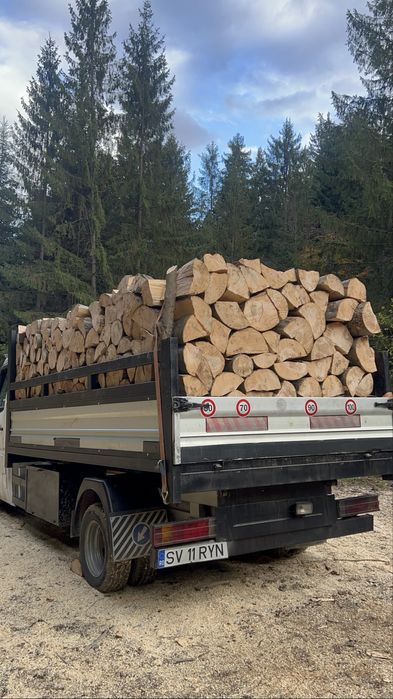 Vand lemne de fag gata taiate