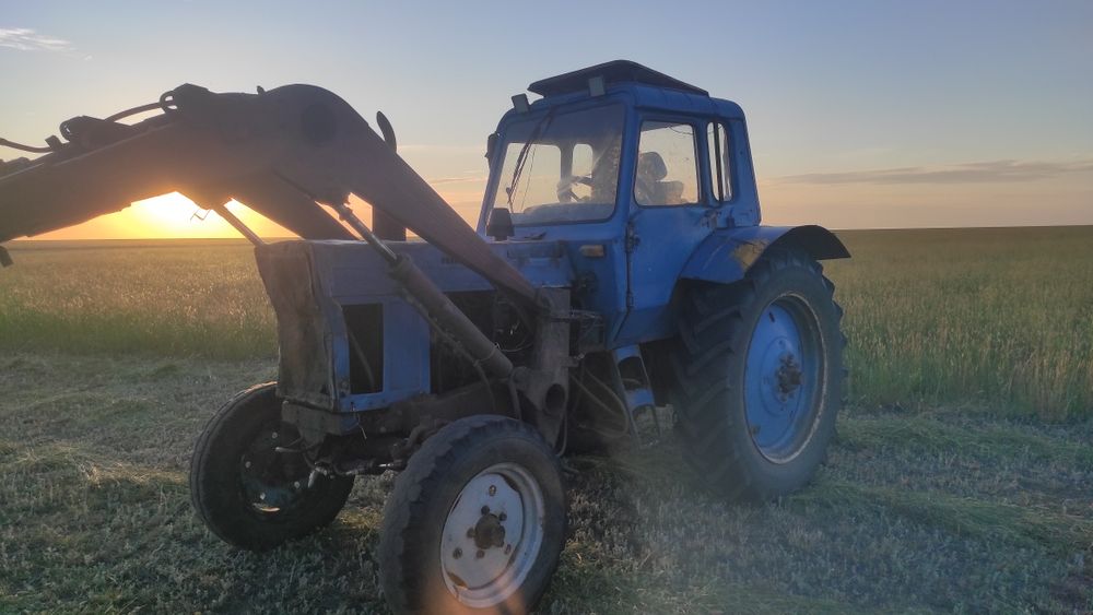 МТЗ 80, трактор,