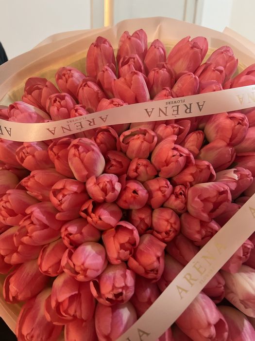 Свежий тюльпан  101 штук