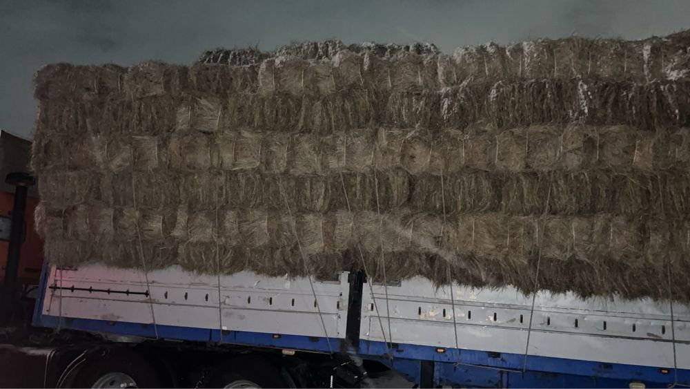Шоп сатылады Продам сено