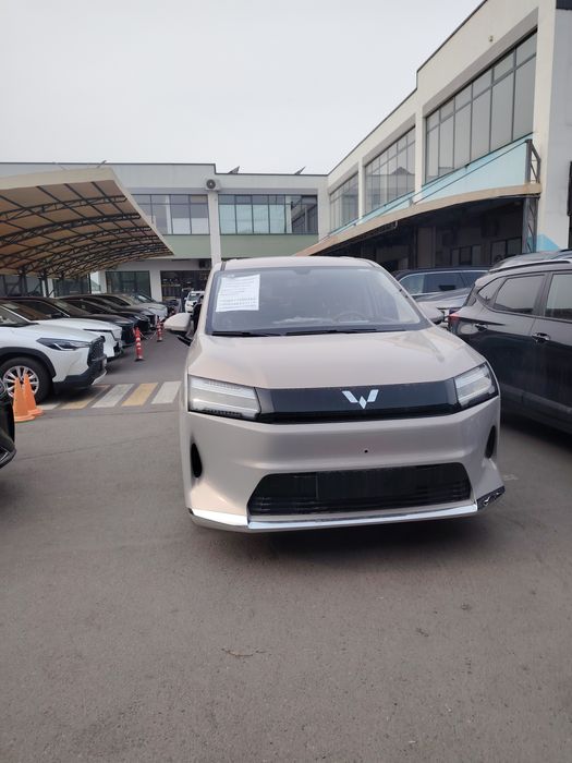 Wunling miniven 530km