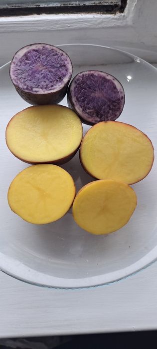 Продам домашнию картошку