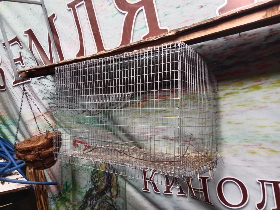 Продам клетку целая