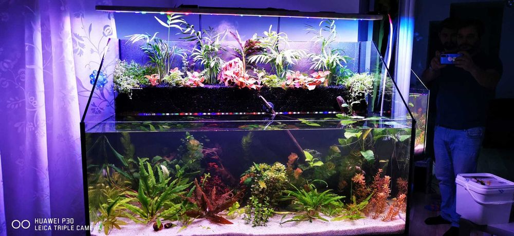 Lampa pentru acvarii plantate
