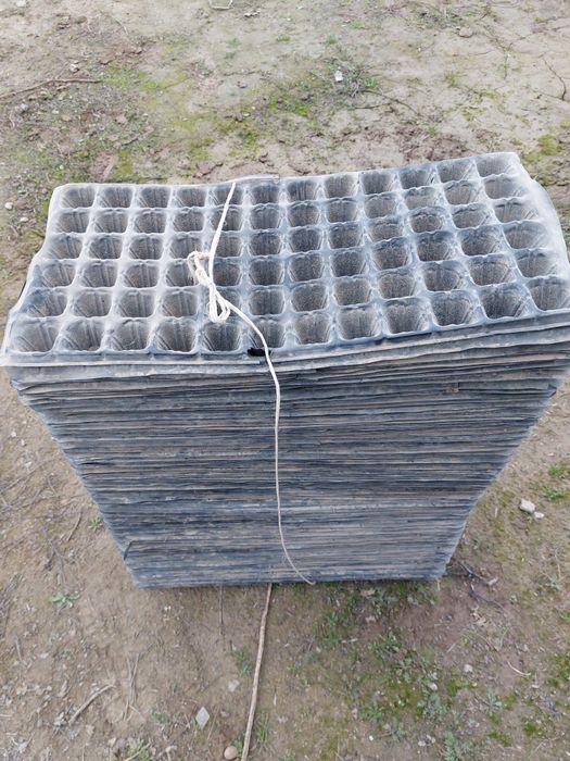 Кассета для рассады