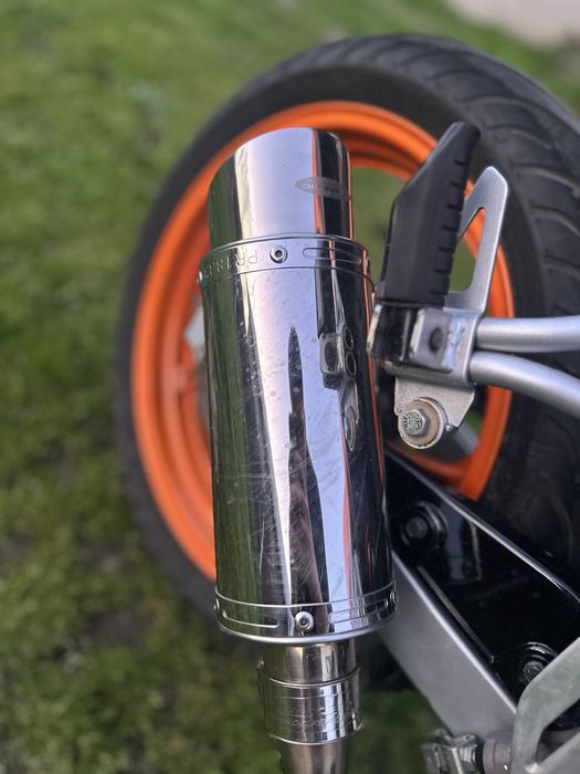 Cap de toba Dejukevic de vanzare