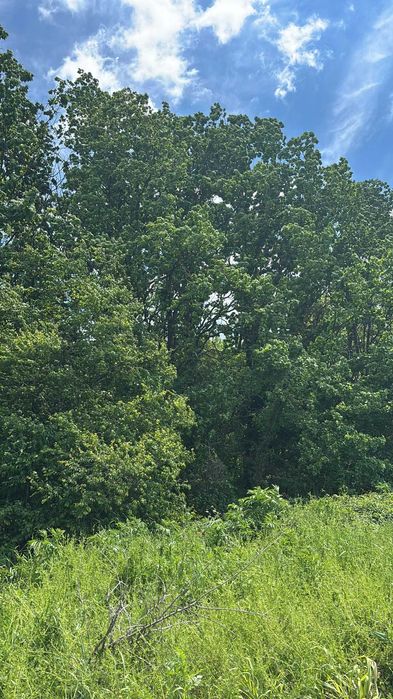 Teren intravilan in Corbeanca (Tamasi) -  langa lac si padure