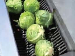 Shredder Tocator distrugator macinator granulator deseuri și vegetale