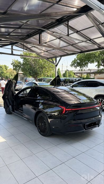 Neta S GT dual motr 3.8 sk ev610