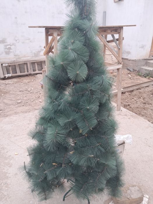 ЕЛКА сатылады 180 см