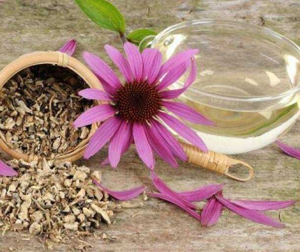 catina/ -80 ron deshidratate BIO ptr imunitate pachet mic