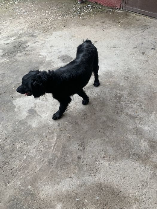 2 руский спанель