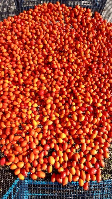 Vand  Macese proaspete