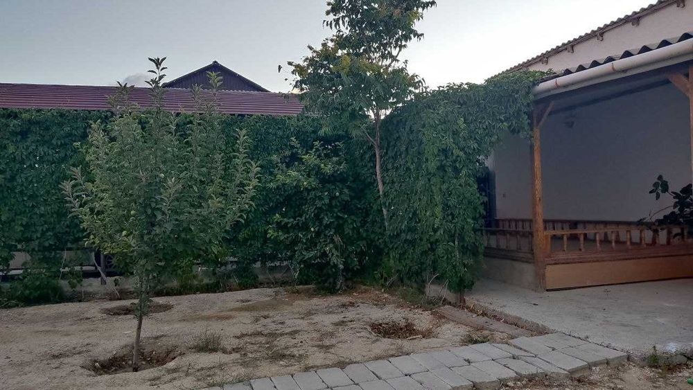 Ақтау қызыл-төбе  балауса көшесі