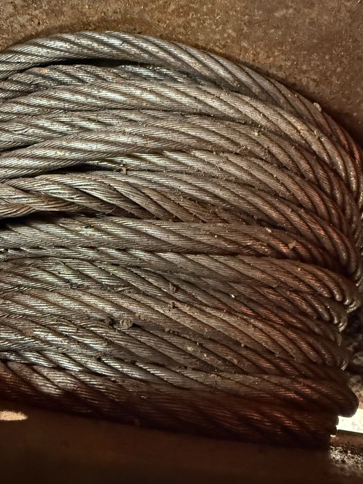 Troliu forestier 5Tone