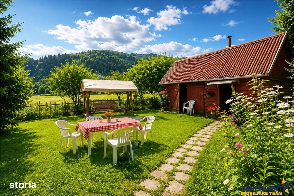 FILM &Tur LIVE! Casa de vacanta, intr- o ariere admirabila, Lunca Brad