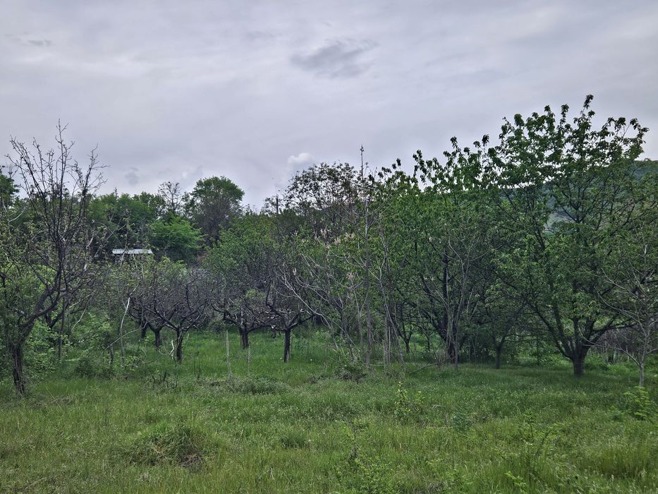 Продава се Парцел в с. Средно градище, Област Стара Загора - 1740 кв.м за 11 €/кв.м - Снимка #4