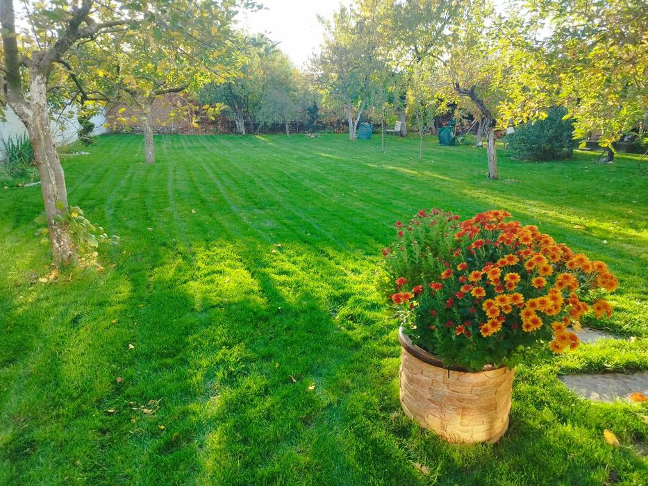 Косене трева, поддръжка, фрезоване, поливни системи, озеленяване