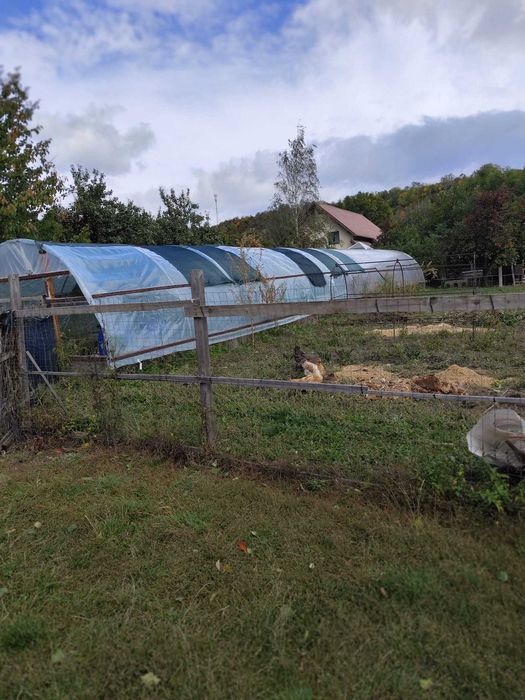 Proprietate cu potențial generos în Lunca Mare – 1.514 mp de liniște deplină