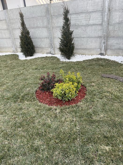Gazon rulou și plante ornamentale