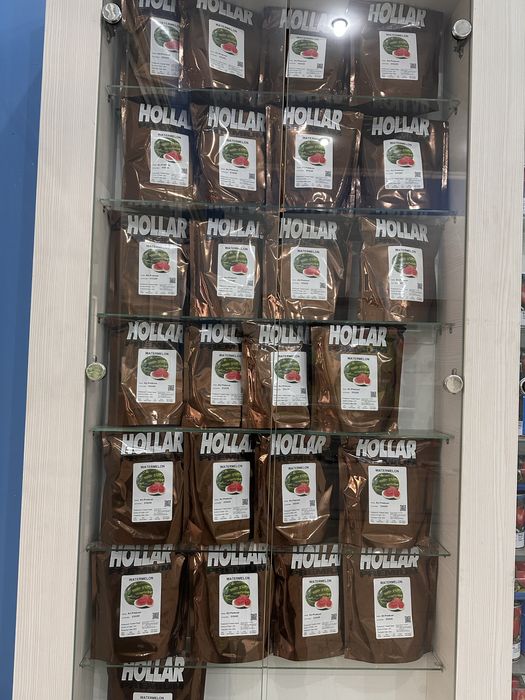 Семене арбуза Холлар Ау Продюсер