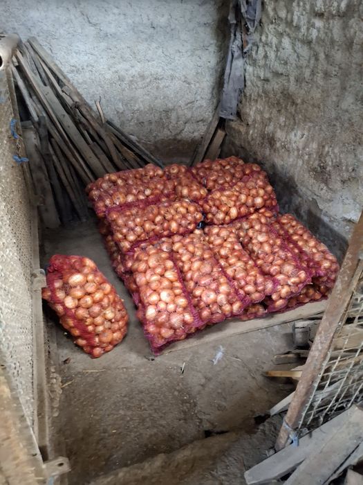 Usturoi și ceapa de vinzare,În Macrina, jud Buzău