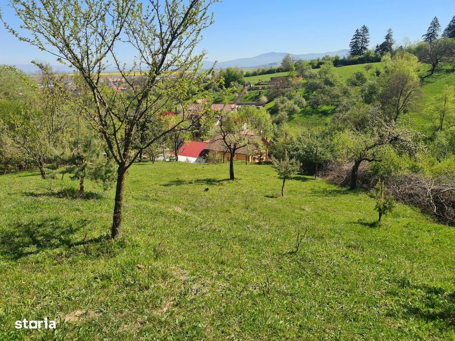 Teren deosebit - 1500 mp, Poiana Angelescu, Str. Livezii