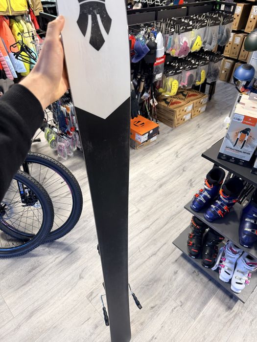 Schiuri Majesty 2023