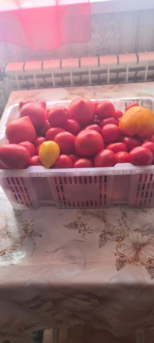 Вкусные домашние помидоры