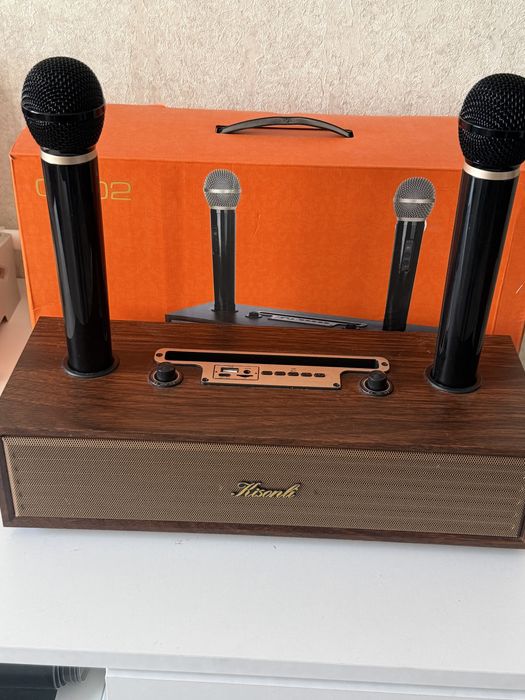 Колонка караоке два микрофона
