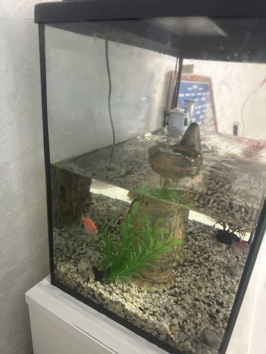 Аквариум 35 литров с замком
