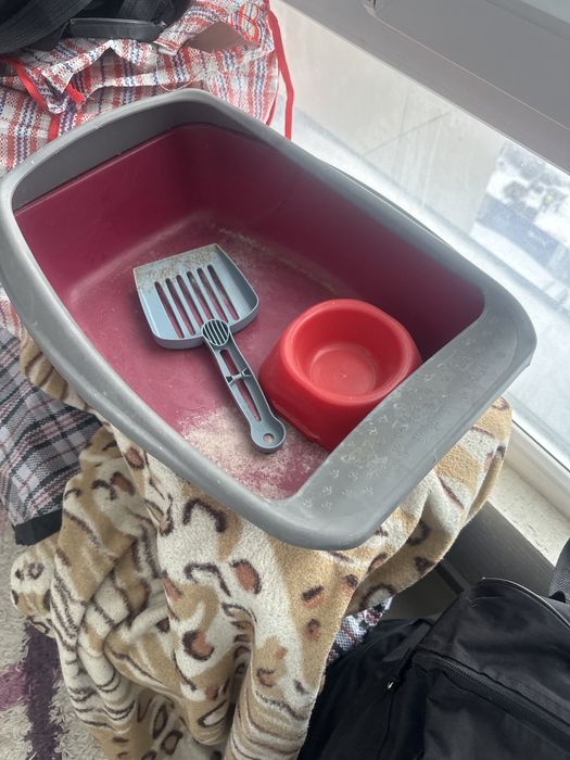 Продам Кошкин туалеты