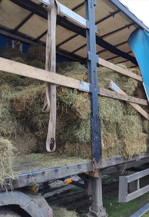 Baloti de lucerna, baloti de fan