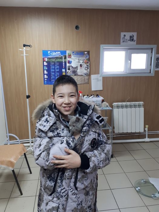 Ветеринарная клиника Doctor Vet!