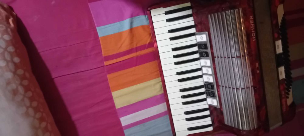 Acordeon 120 Bass