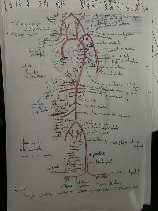 Meditatii Biologie pentru admitere la facultate si BAC