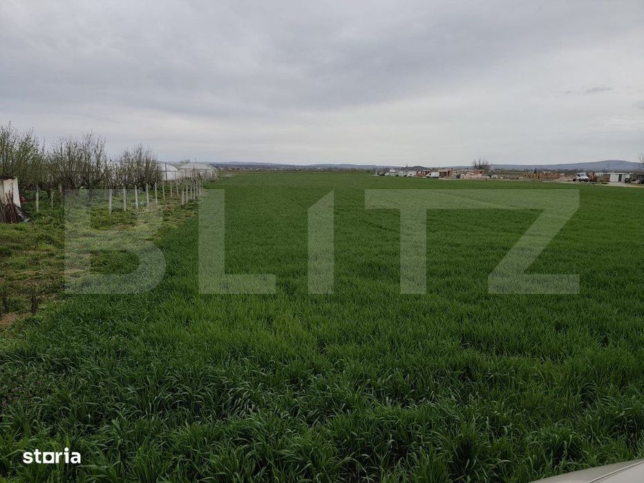 Teren 8600 mp in Podgoria