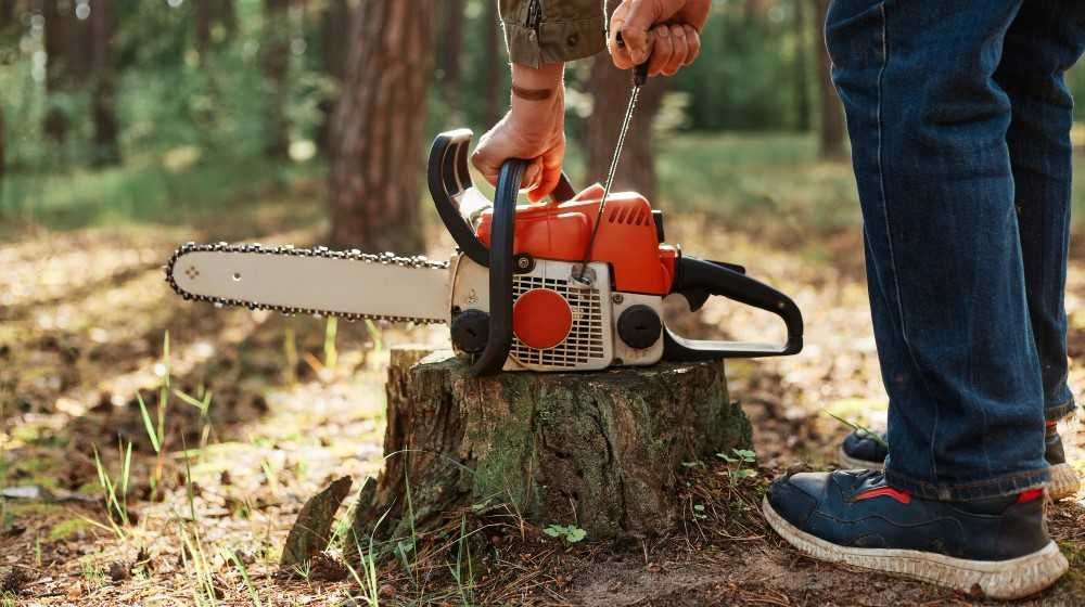 Рязане на опасни дървета, косене на трева, поддръжка на дворове