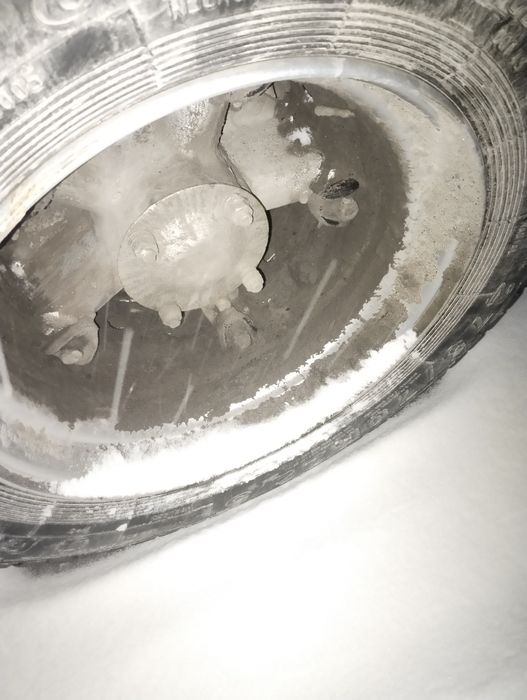 Камаз прицеп сатылады